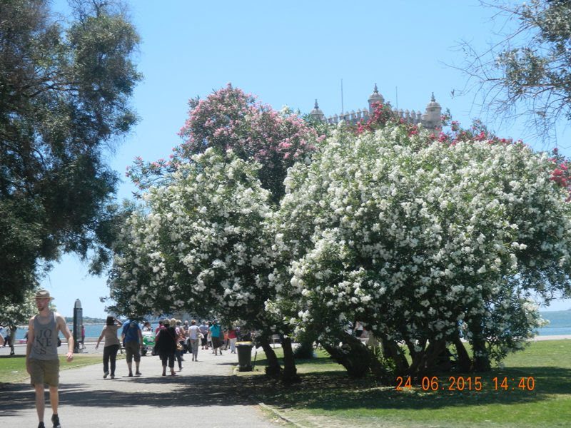Galerija