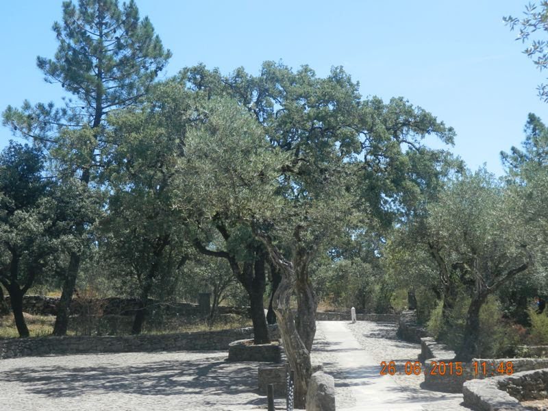 Galerija