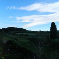 Galerija