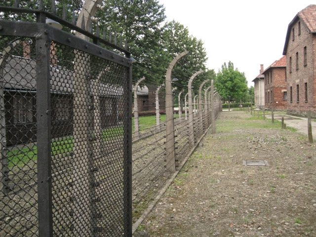Galerija