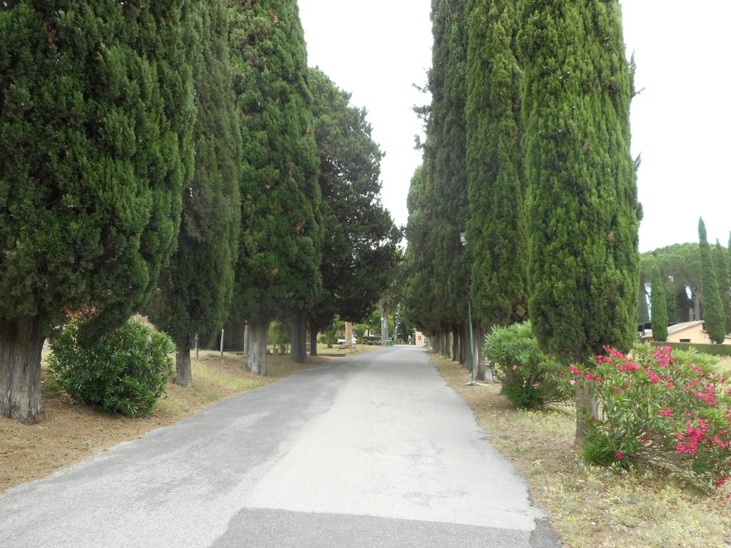 Galerija