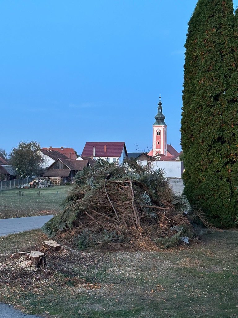 PRVA JESENSKA AKCIJA CREATIO+